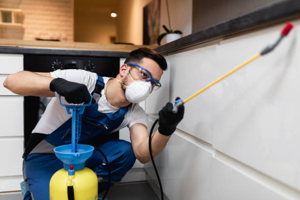 Best Rat Extermination Near Me  in Merkel, TX