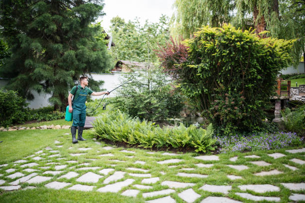 Best Affordable Pest Control Services  in Merkel, TX