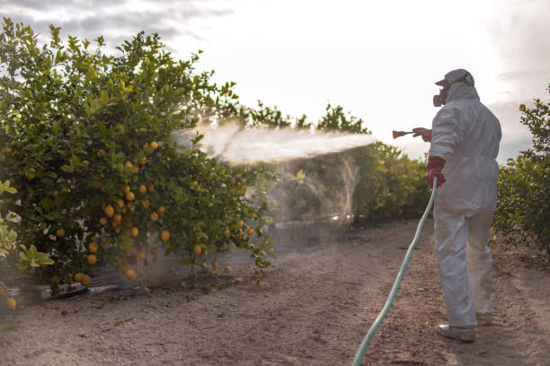 Wildlife Control Services in Merkel, TX