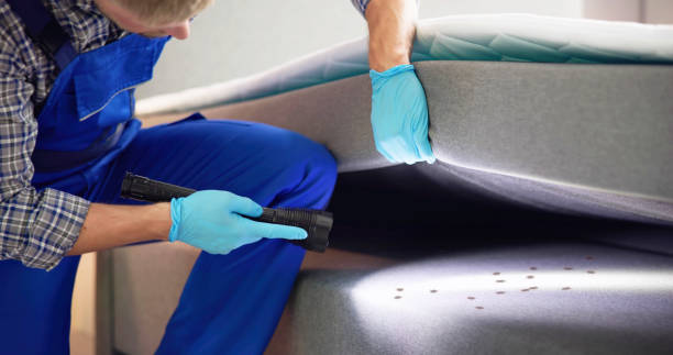 Best Pest Control Near Me  in Merkel, TX