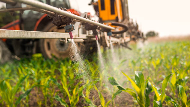 Best Pest Removal Services  in Merkel, TX