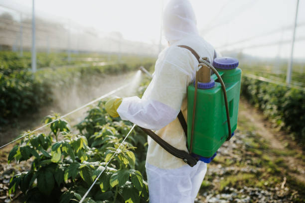 Best Best Pest Control Companies  in Merkel, TX